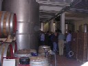 Vineyard05b
