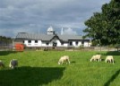 BishopBurton07c.jpg