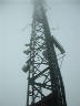 CMD08-09.jpg