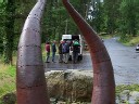 CMD08-11.jpg
