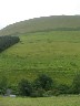 CMD08-23.jpg