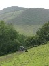 CMD08-26.jpg