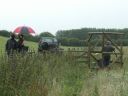 NewtonRigg09b.jpg