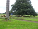 Bicton2012-06.jpg