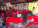 Bicton2012-25.jpg