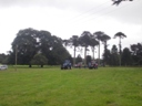 Bicton2012-48.jpg