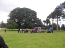 Bicton2012-49.jpg